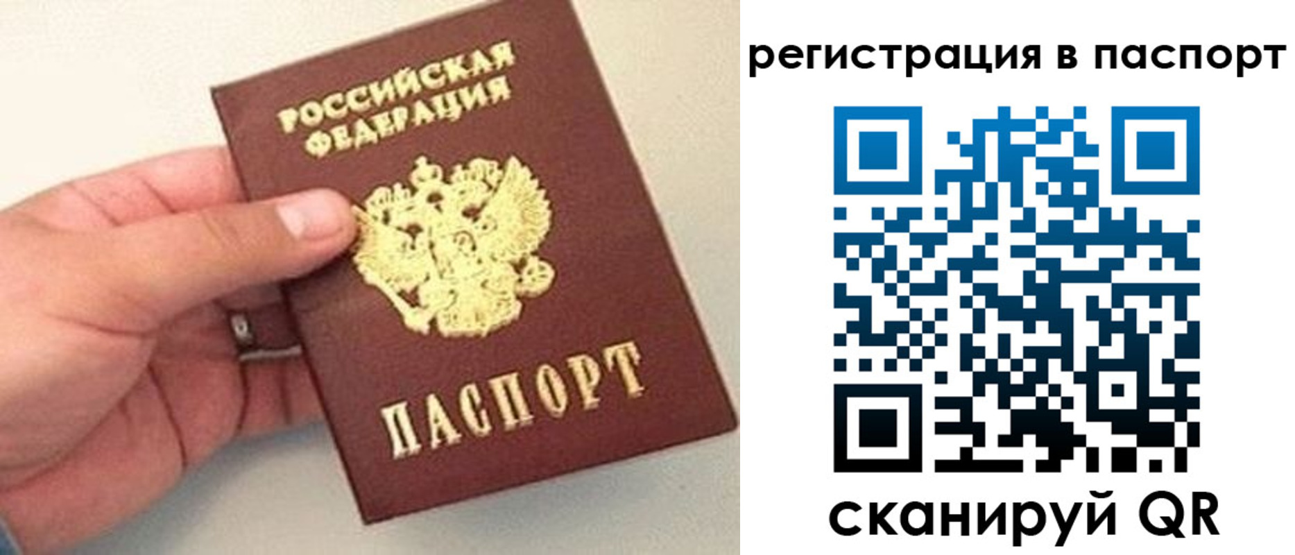 прописка законно в Камбарке